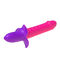 USB Rechargeable Sex Toy Nipple Clitoris G Spot Stimulator Sucking Squirrel Vibrator For Women